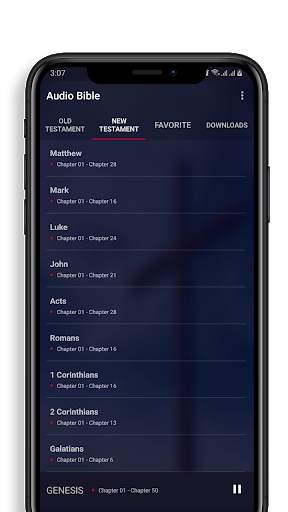Nigerian bible Audio : Holy Bible English screenshot 3