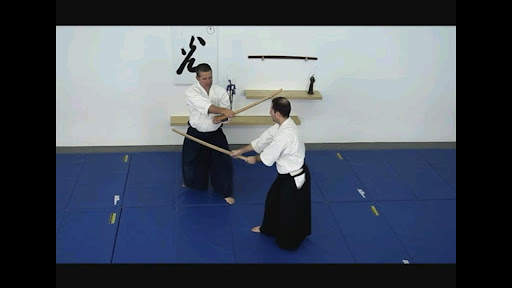 Aikido Weapons Free screenshot 4