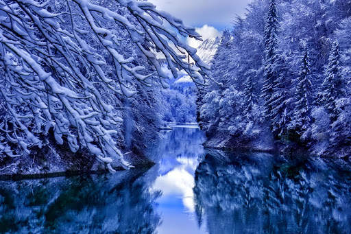 Winter Live Wallpaper (Wallpapers & Backgrounds) screenshot 10