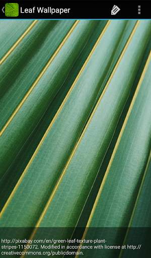 Leaf Wallpaper screenshot 7