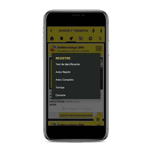 Vespa Velutina screenshot 12