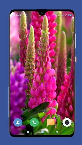 Beautiful Spring Wallpaper  4K screenshot 11