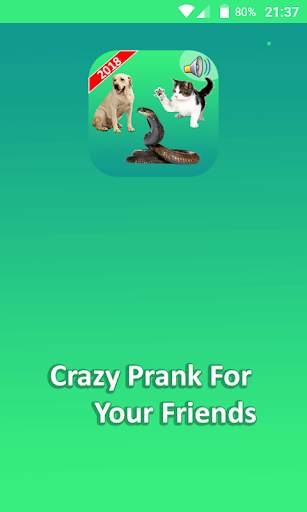 Real Animal Sounds Funny Prank screenshot 2