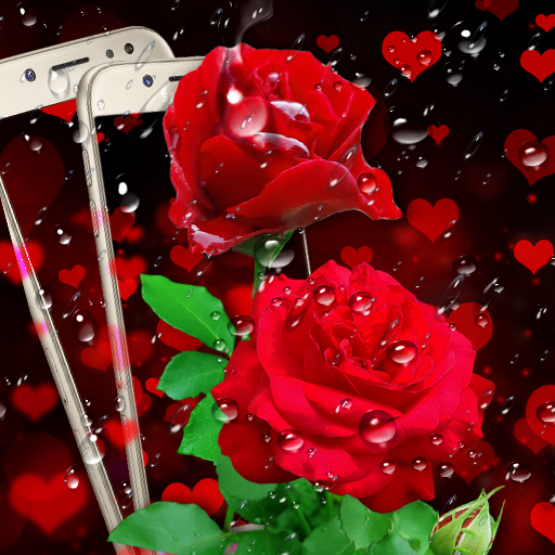 Red rose live wallpaper icon