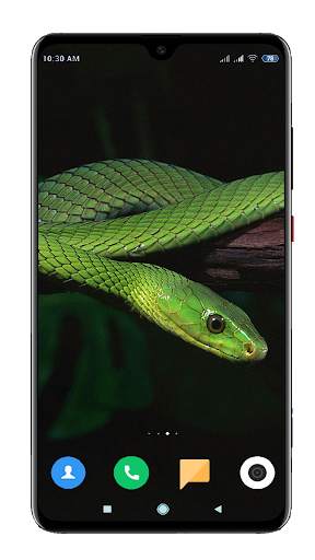 Snake Wallpaper HD screenshot 7