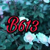 B613 beauty and filter camera 1.0