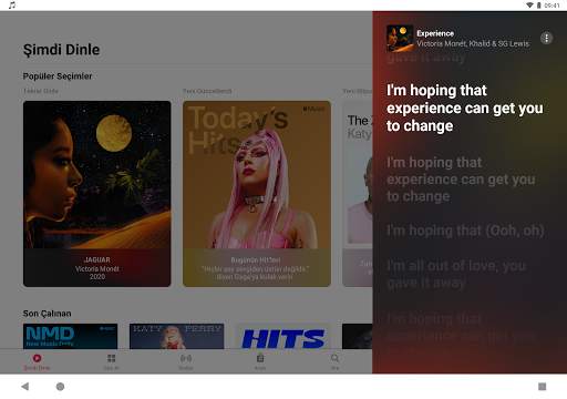 Apple Music screenshot 7