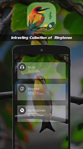 Latest Bird Ringtones 2021 screenshot 3