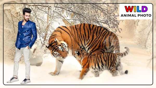 Wild Animal Photo Frames - Photo Editor screenshot 1