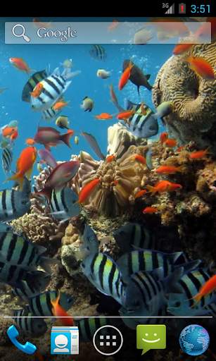 Colorful Tropical Fishes screenshot 5
