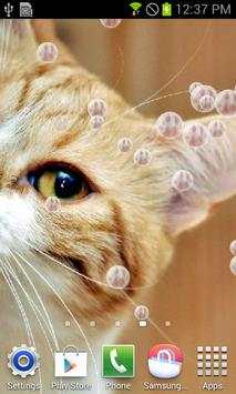 Kitty Cat Live Wallpaper 1 تصوير الشاشة