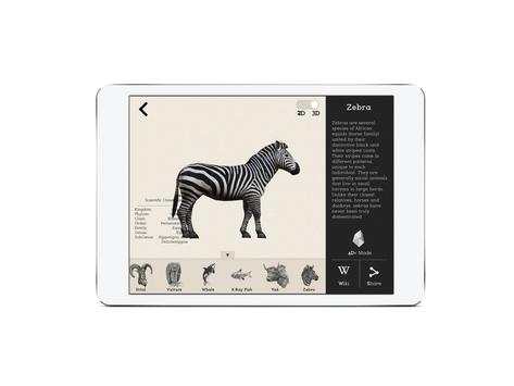 Animal 4D  Lite screenshot 9