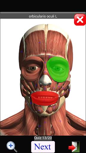 Anatomy Quiz скриншот 3