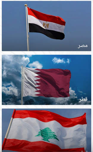 The population of Arab countries, 2020 screenshot 3