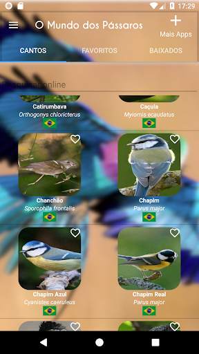 The World of Birds screenshot 1