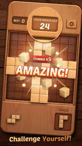 Wood Block Puzzle 3D screenshot 15