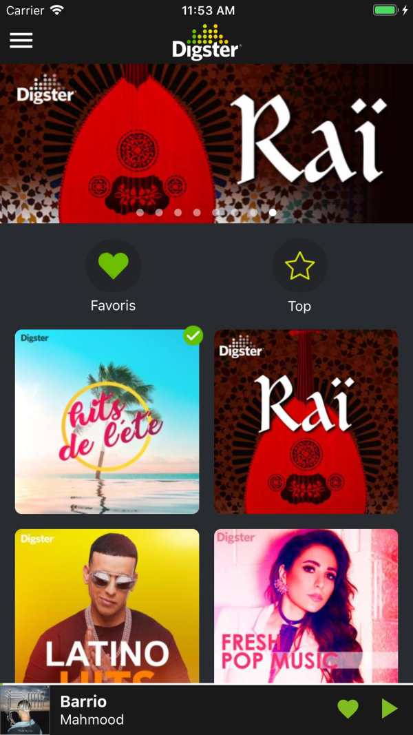 DIGSTER MAROC -MUSIC screenshot 7