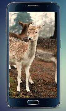 Herd of Deer Live Wallpaper screenshot 2
