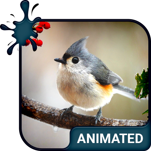 Birdy Animated Keyboard + Live Wallpaper icon