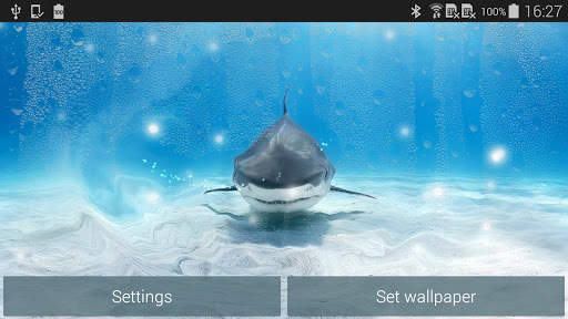 Shark Live Wallpaper screenshot 8
