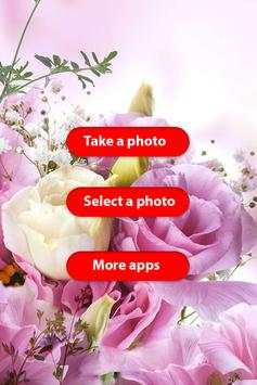 Flowers photo frames 1 تصوير الشاشة