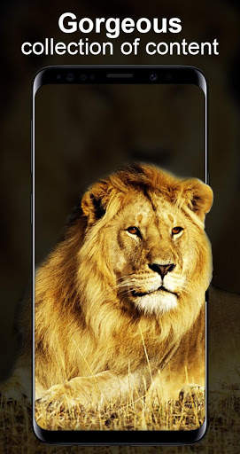 Live Wallpapers Unlimited screenshot 4