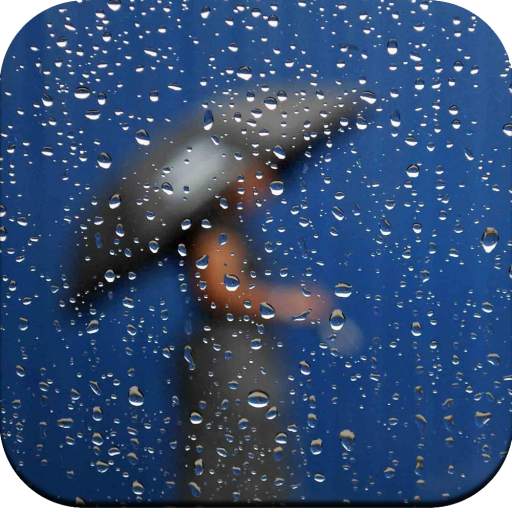 Rain Wallpaper 4K 1.04
