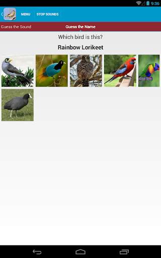 Australian Birds Sounds Free स्क्रीनशॉट 14
