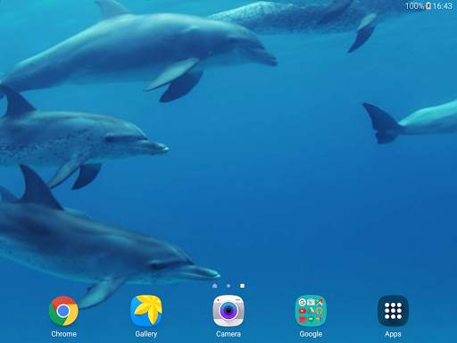 Dolphins Live Wallpaper screenshot 11