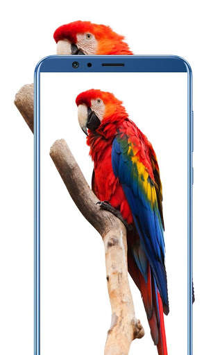 5000   HD Wallpaper Download 2019 screenshot 8
