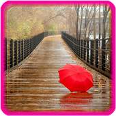 Rain Live Wallpaper 1.9