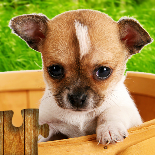 Spel Honden Legpuzzel Kinderen icon