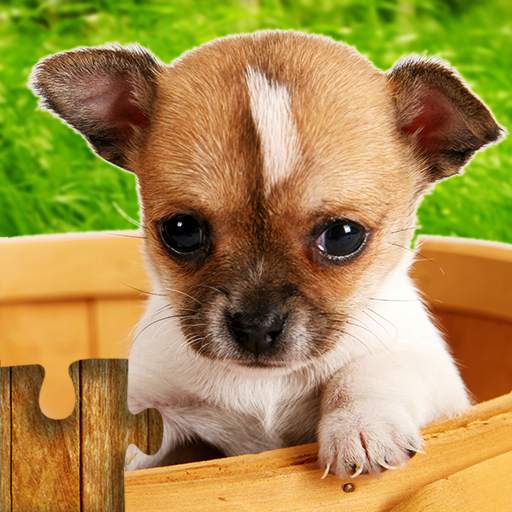 Dogs Jigsaw Puzzle Game Kids 33.3