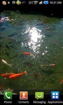 Pond of Fish screenshot 2