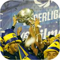 ARGENTINE FOOTBALL LEAGUE icon