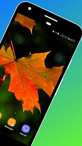 Leaf Wallpaper HD screenshot 3