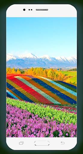 Spring Wallpaper HD screenshot 14
