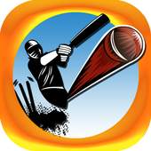 Word Search : Cricket Players 1.2.0