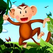 Dr. Monkey 1.0