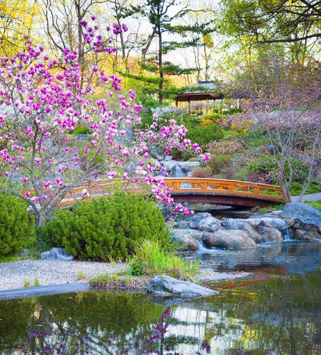 Garden Wallpaper screenshot 1