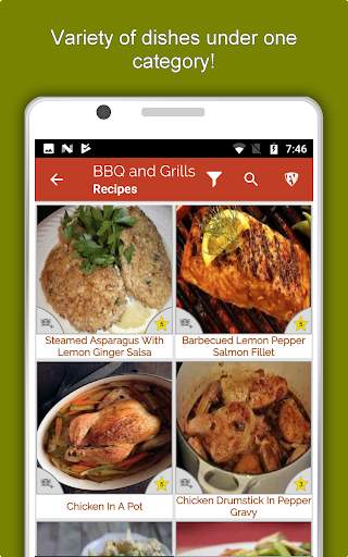 Barbecue Grill Recipes Offline screenshot 13