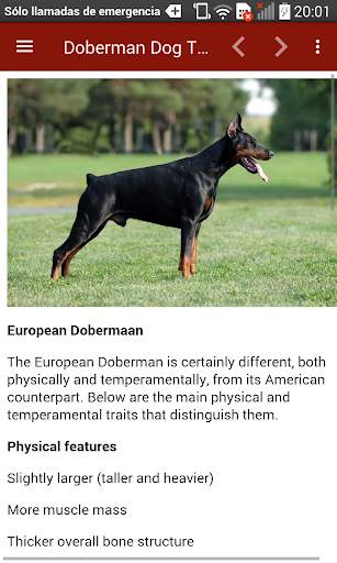 Doberman Dog Training screenshot 12