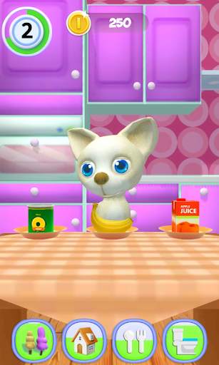 Talking Dog Chihuahua screenshot 5