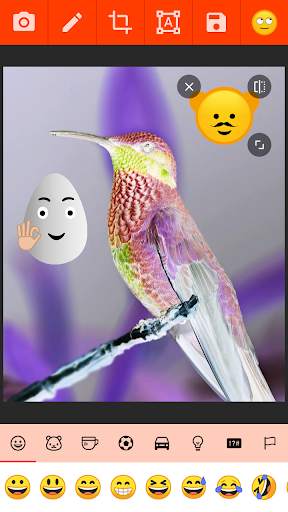 Emoji Photo Sticker screenshot 8