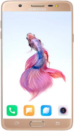 Betta Fish Wallpaper screenshot 7