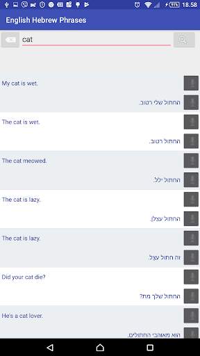 English Hebrew offline phrases screenshot 2