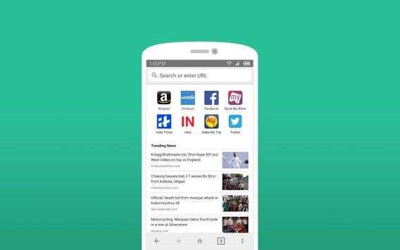 Phoenix Browser screenshot 4
