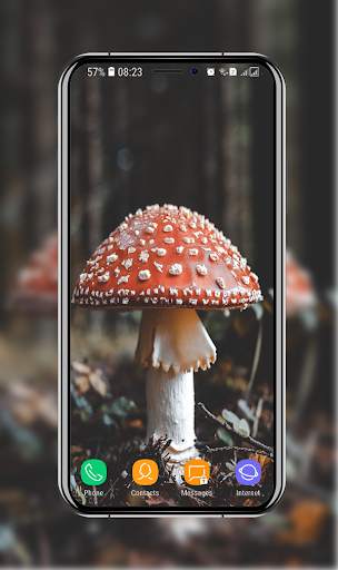 Nature Wallpaper HD screenshot 3