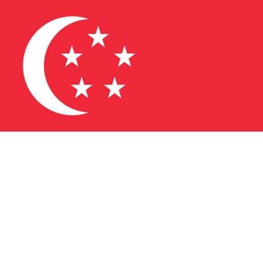 Singapore VPN - Fast VPN Proxy 2.6