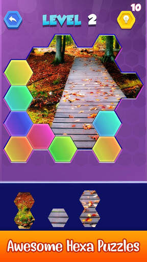 Jigsaw Hexa Puzzle - Block Hexa Puzzle Game screenshot 7